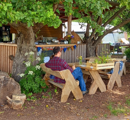 An image of Grow Wilder cafe area