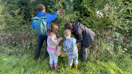 Group of people collecting hedge seeds