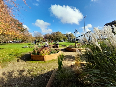 Filton Community Garden