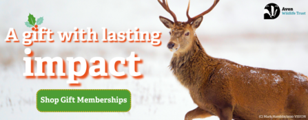 A gift with lasting impact - Shop Gift Memberships