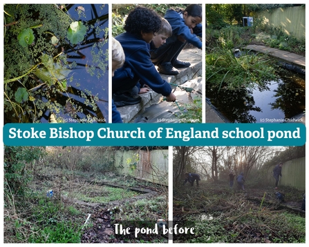 Stoke Bishop pond before and after pictures with children pond dipping