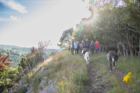 A group of people walking at Goblin Combe, followed by goats