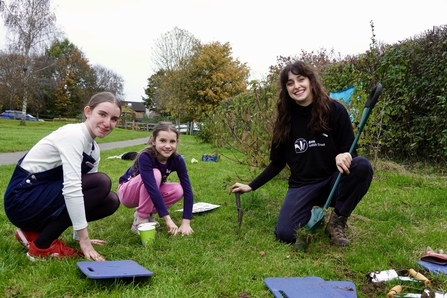 Planting bulbs