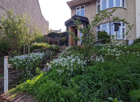 Tom_Wilmott_wild_garden_revival_front_garden