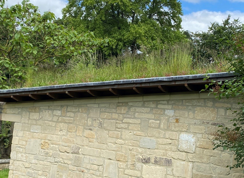 Green roof