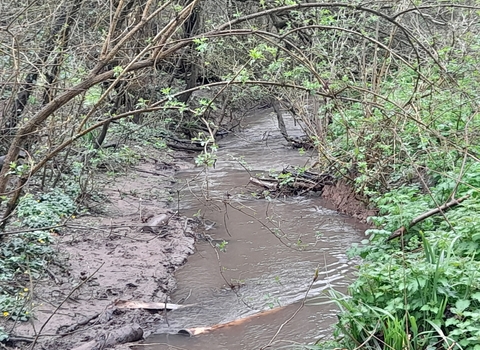 Thornbury Orchard Group river