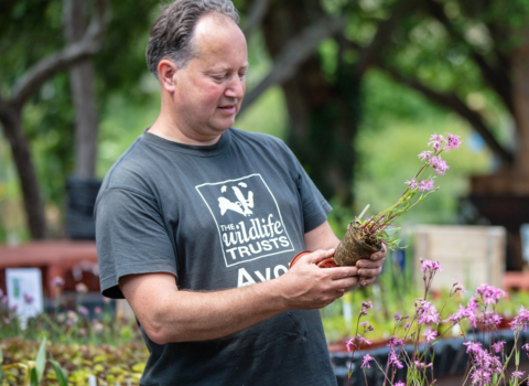 Staff working at Grow Wilder wildflower nursery