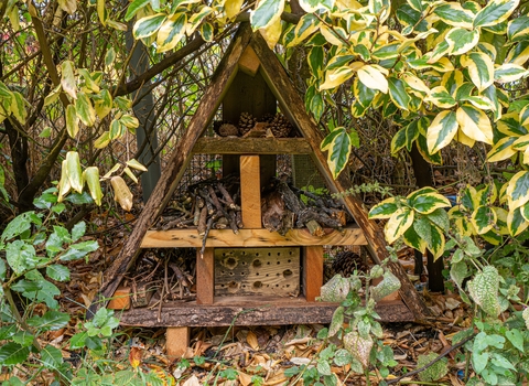 Filton Community Garden Bug Hotel